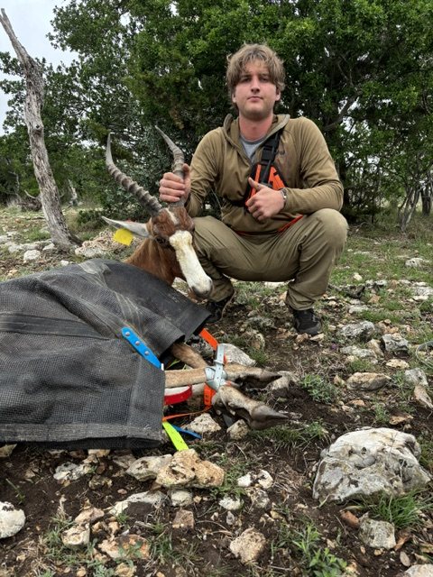 Crew member with a captured antelope among cedar trees