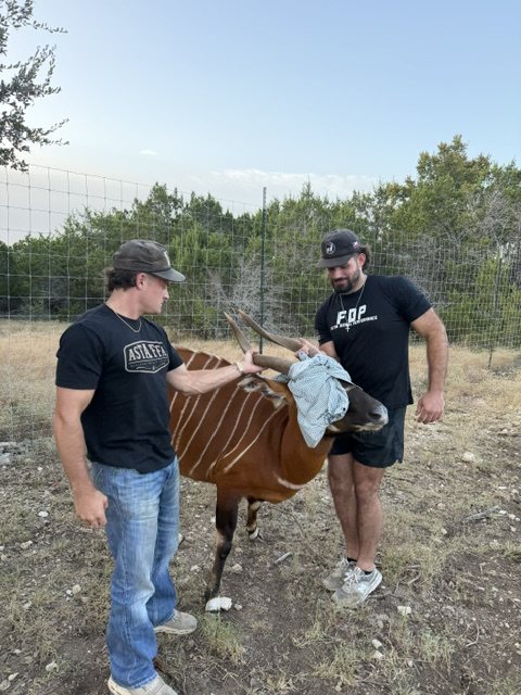 Two crew members handling a bongo beside a game fence